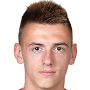 mihajlo terzic