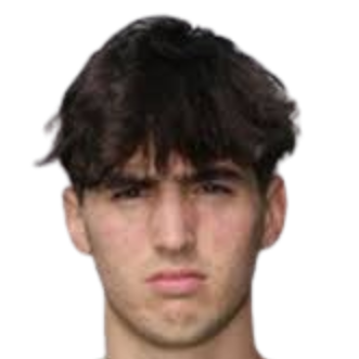 Luca barani
